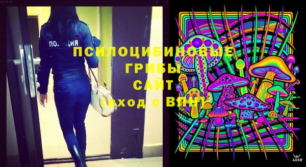 ГАЛЛЮЦИНОГЕННЫЕ ГРИБЫ Алзамай