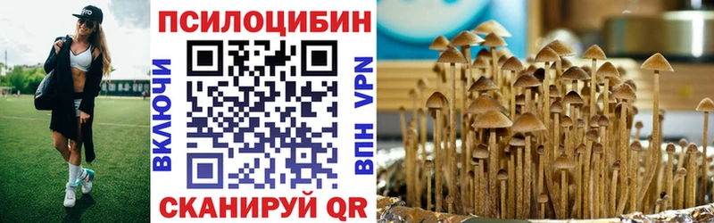 Галлюциногенные грибы мухоморы купить Камызяк